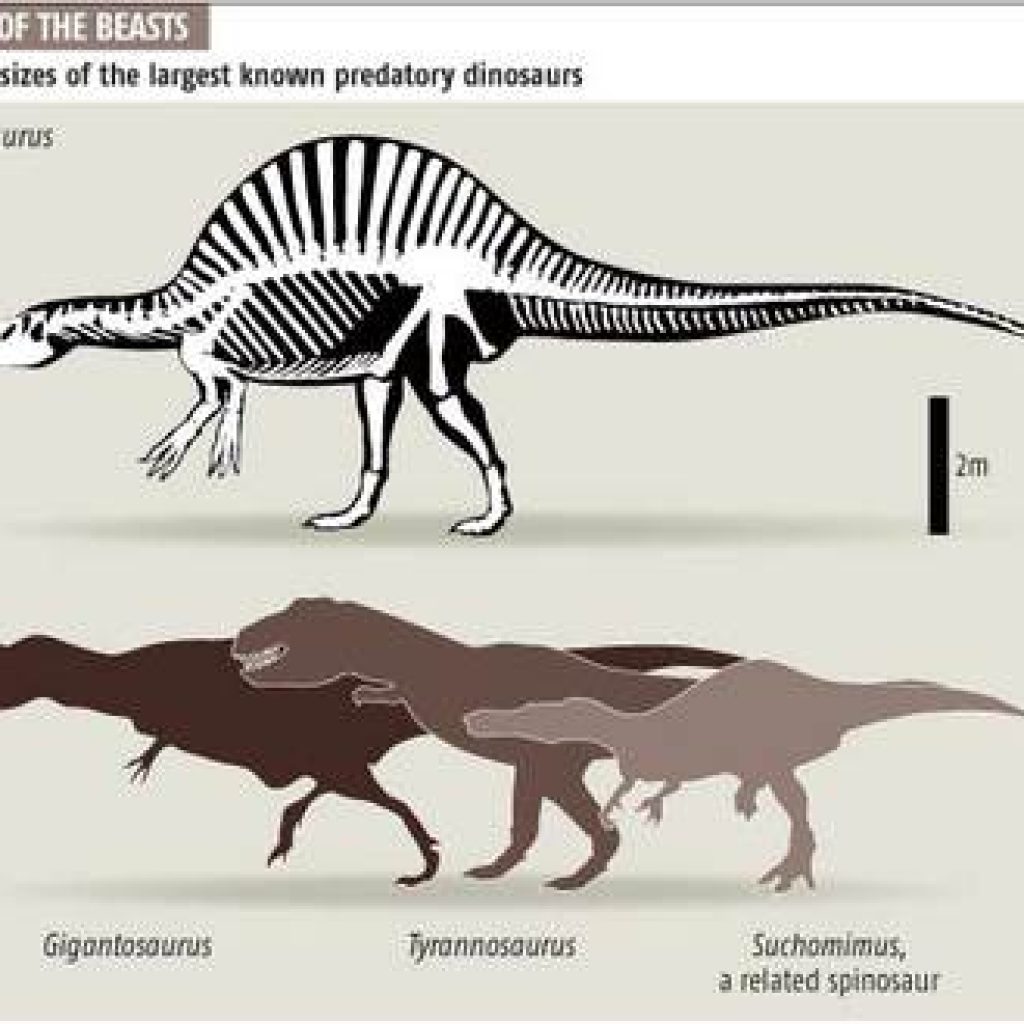 Спинозавр динозавр Размеры