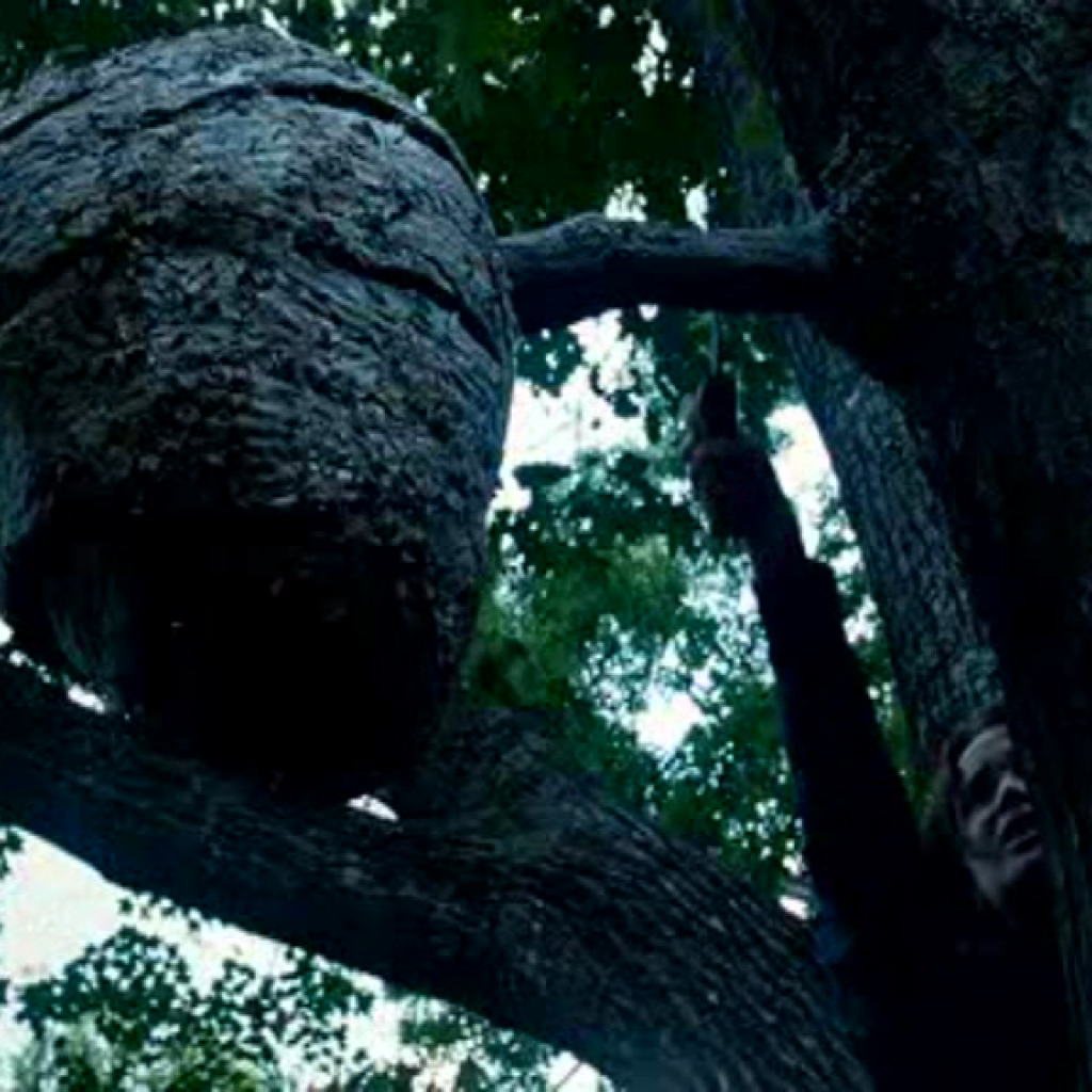 Wasps and Caustic Soda